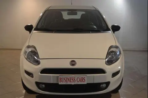 Used FIAT PUNTO  2018 Ad 