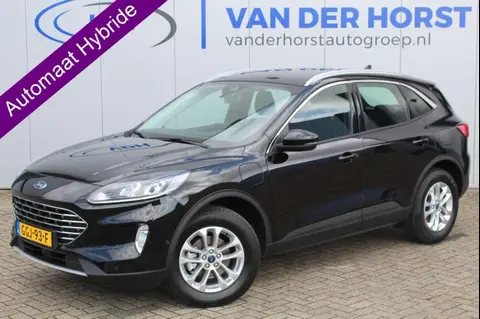 Used FORD KUGA Hybrid 2023 Ad 