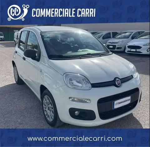 Annonce FIAT PANDA Diesel 2018 d'occasion 