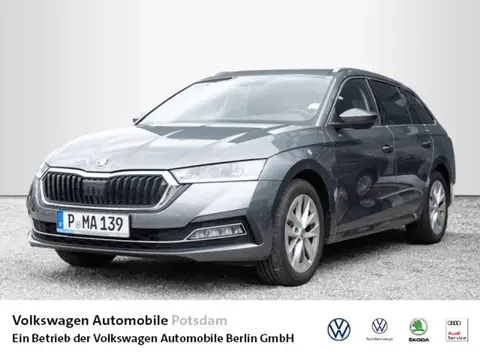 Annonce SKODA OCTAVIA Essence 2023 d'occasion 