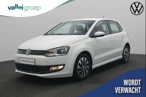 Used VOLKSWAGEN POLO Petrol 2017 Ad 