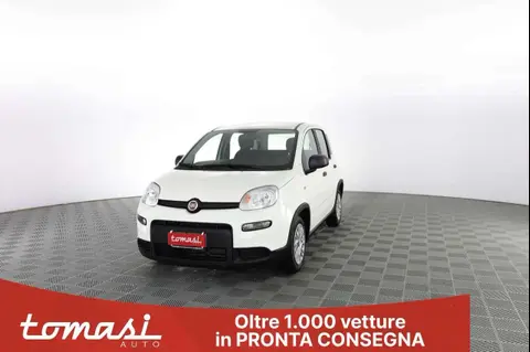 Used FIAT PANDA Hybrid 2024 Ad 