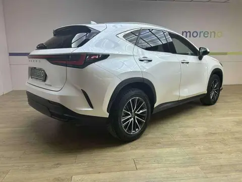 Annonce LEXUS NX Hybride 2023 d'occasion 