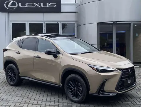 Annonce LEXUS NX Hybride 2024 d'occasion 