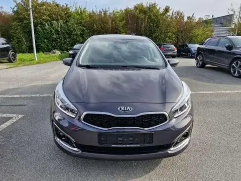 Used KIA CEED Petrol 2016 Ad 