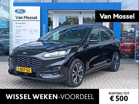 Used FORD KUGA Hybrid 2021 Ad 