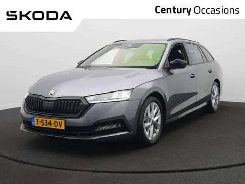 Used SKODA OCTAVIA Petrol 2023 Ad 