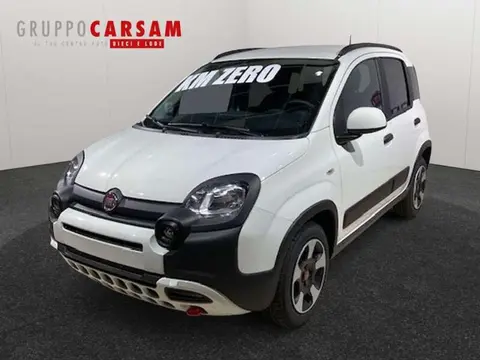 Used FIAT PANDA Hybrid 2024 Ad 