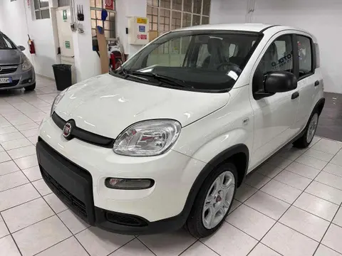 Annonce FIAT PANDA Hybride 2024 d'occasion 