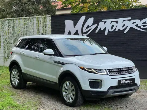 Used LAND ROVER RANGE ROVER EVOQUE Diesel 2017 Ad 