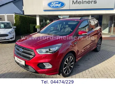 Used FORD KUGA Petrol 2019 Ad 