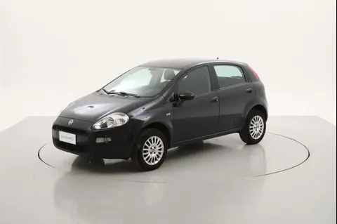 Used FIAT PUNTO  2017 Ad 