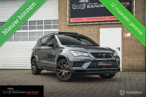 Annonce CUPRA ATECA Essence 2019 d'occasion 