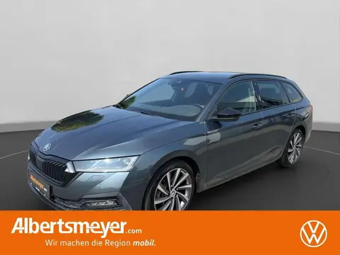 Used SKODA OCTAVIA Diesel 2021 Ad 