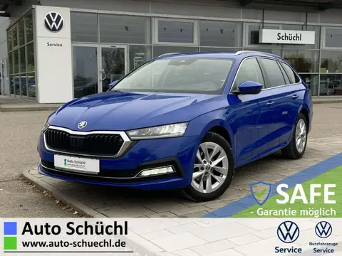 Used SKODA OCTAVIA Diesel 2021 Ad 