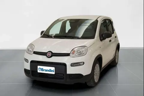 Annonce FIAT PANDA Hybride 2024 d'occasion 