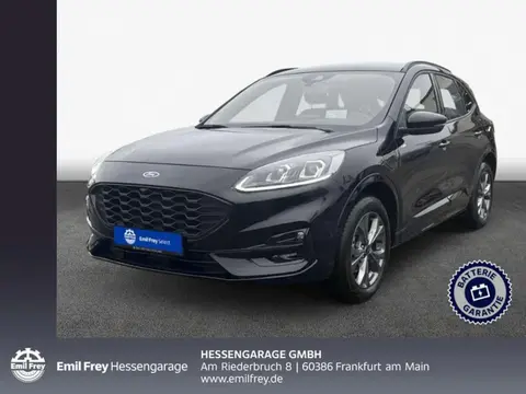 Used FORD KUGA Hybrid 2023 Ad 