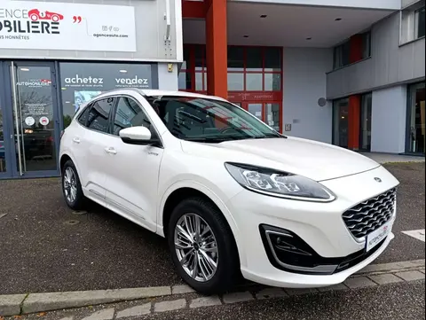 Annonce FORD KUGA Essence 2023 d'occasion 