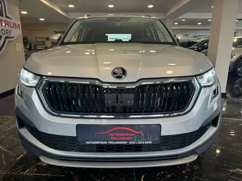 Used SKODA KODIAQ Diesel 2023 Ad 