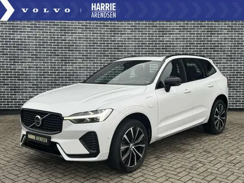 Used VOLVO XC60 Hybrid 2023 Ad 