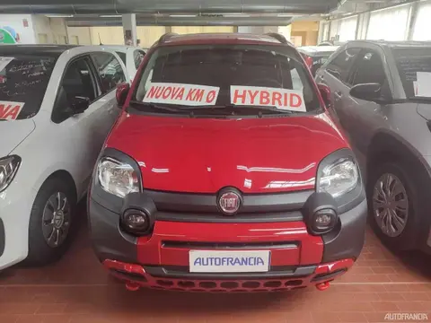 Used FIAT PANDA Hybrid 2024 Ad 