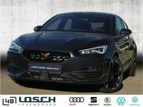 Annonce CUPRA LEON Essence 2023 d'occasion 