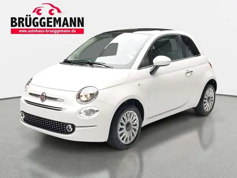 Used FIAT 500 Petrol 2023 Ad 