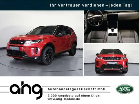 Annonce LAND ROVER DISCOVERY Diesel 2024 d'occasion 