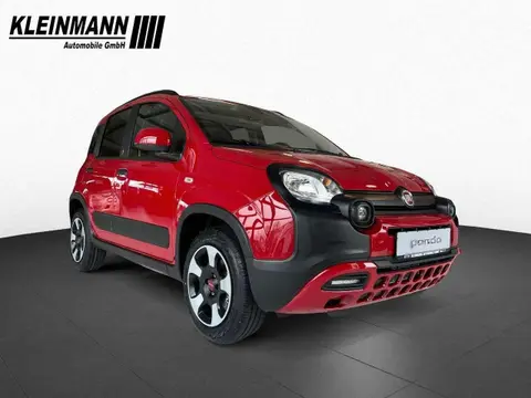 Annonce FIAT PANDA Hybride 2024 d'occasion 