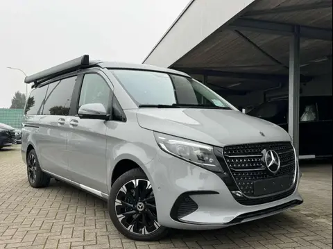 Annonce MERCEDES-BENZ MARCO POLO Diesel 2024 d'occasion 