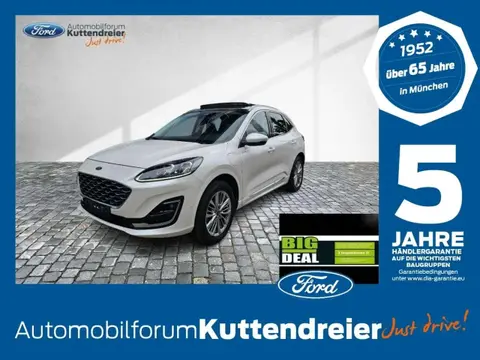 Used FORD KUGA Hybrid 2021 Ad 