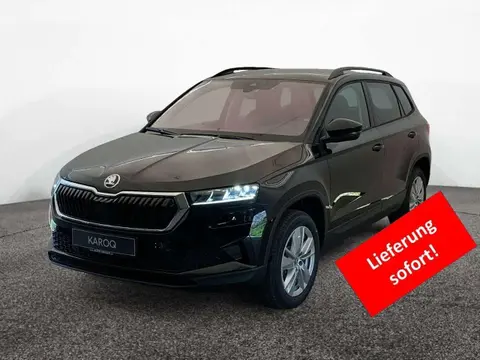 Annonce SKODA KAROQ Essence 2024 d'occasion 