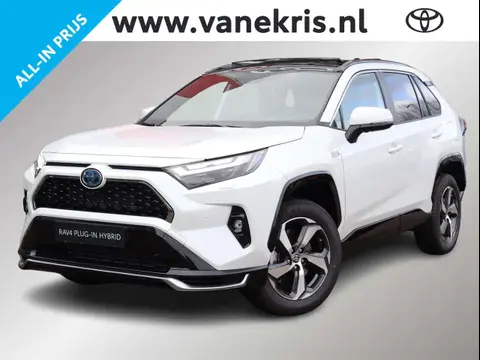 Used TOYOTA RAV4 Hybrid 2024 Ad 