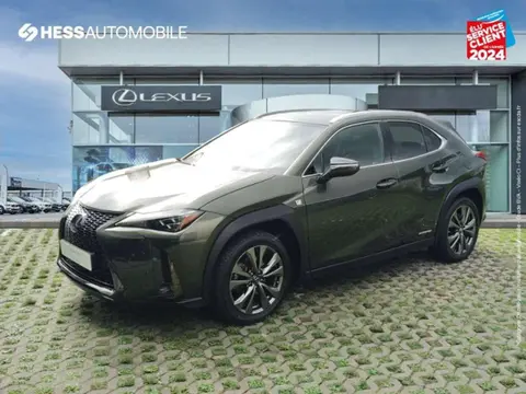 Annonce LEXUS UX  2021 d'occasion 