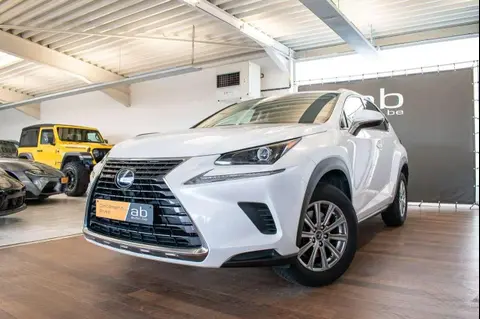 Used LEXUS NX Hybrid 2020 Ad Belgium