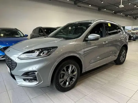 Annonce FORD KUGA Hybride 2023 d'occasion 