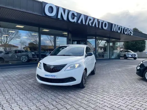 Used LANCIA YPSILON Hybrid 2024 Ad 