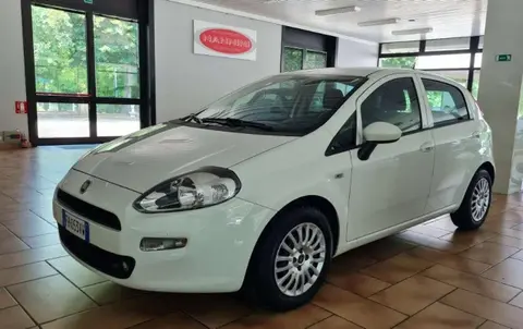 Used FIAT PUNTO Diesel 2017 Ad 