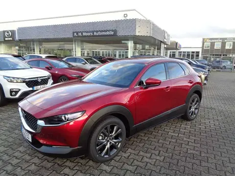 Annonce MAZDA CX-30 Essence 2023 d'occasion 