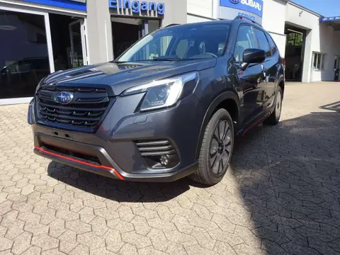 Annonce SUBARU FORESTER Hybride 2024 d'occasion 