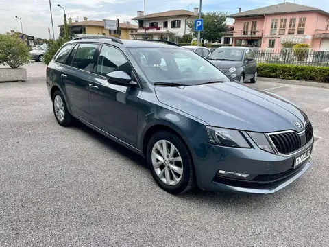 Annonce SKODA OCTAVIA Diesel 2019 d'occasion 