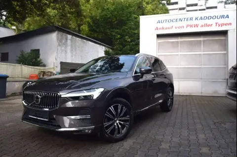 Annonce VOLVO XC60 Diesel 2021 d'occasion 