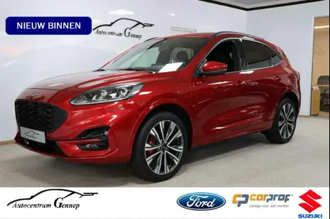 Used FORD KUGA Hybrid 2023 Ad 