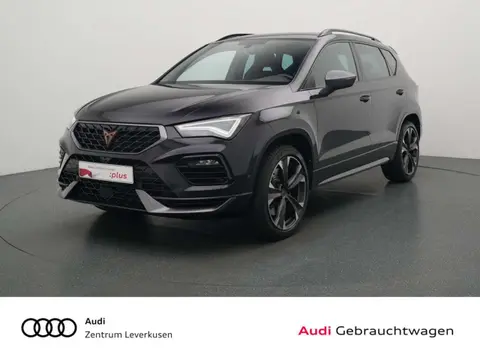 Annonce CUPRA ATECA Essence 2022 d'occasion 