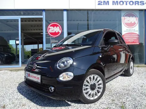 Used FIAT 500 Petrol 2023 Ad 