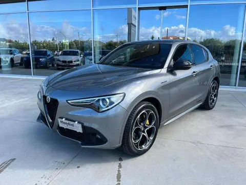 Used ALFA ROMEO STELVIO Diesel 2021 Ad 