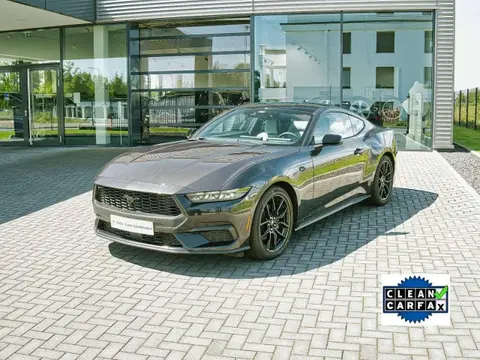 Used FORD MUSTANG Petrol 2023 Ad 