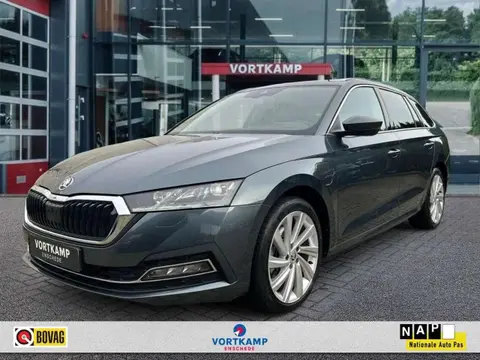 Used SKODA OCTAVIA Hybrid 2022 Ad 