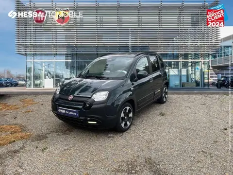 Annonce FIAT PANDA  2024 d'occasion 