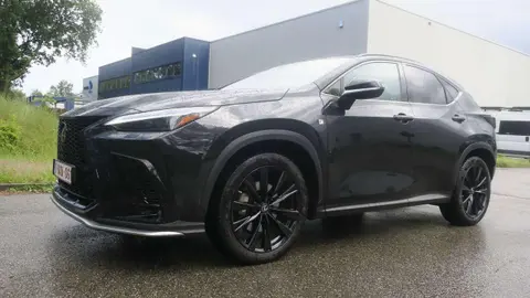 Used LEXUS NX Petrol 2022 Ad 